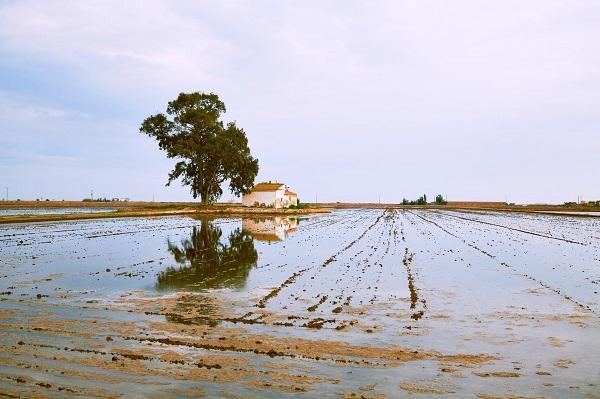 Estudio Global sobre Cambio Climático