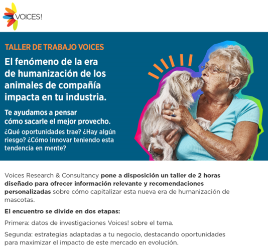 Taller de trabajo Voices | Humanización de los animales de compañía
